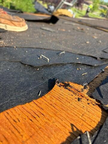 Underlayment is compermised