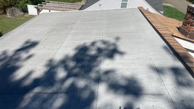 Before: Old Flat Roof