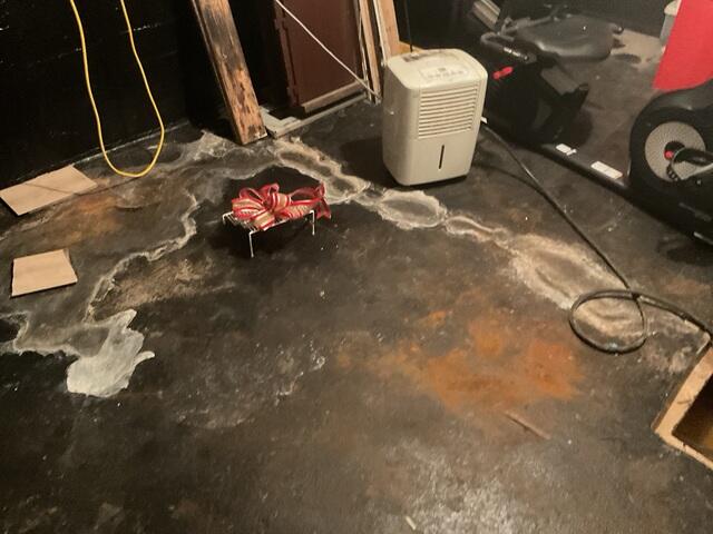 Basement Water Damage