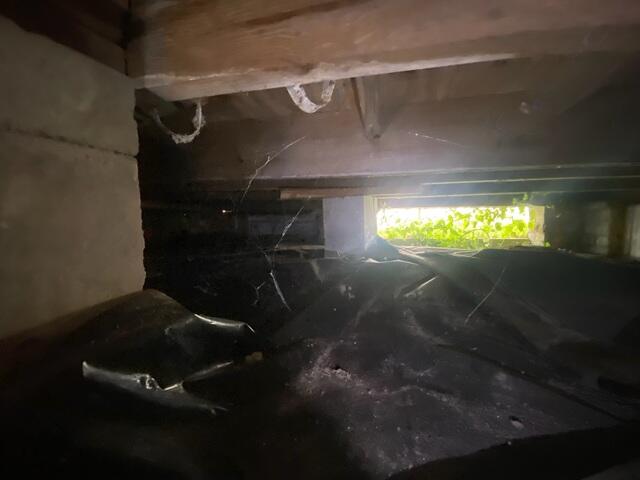 Unsealed and Moisture-Exposed Crawl Space - Jacksonville, FL