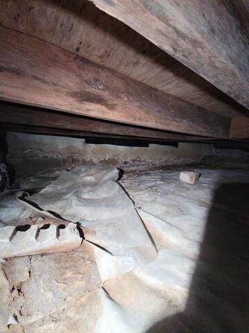 Moldy Crawl Space Wood