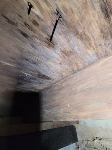 Wet Crawl Space Wood