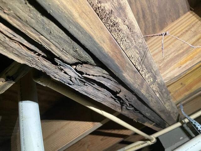 Compromised Wood