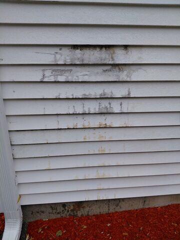 Before Cleaning