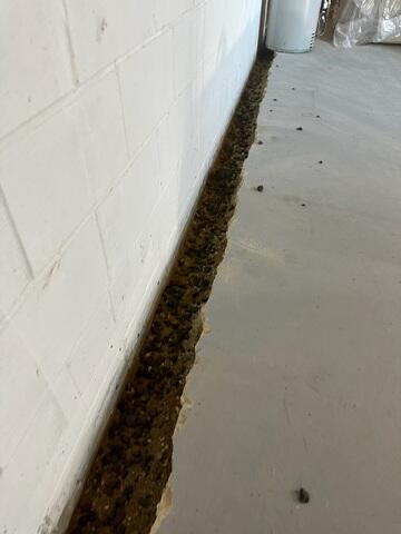 Trench Line