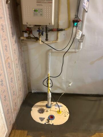 TripleSafe Single Pump System