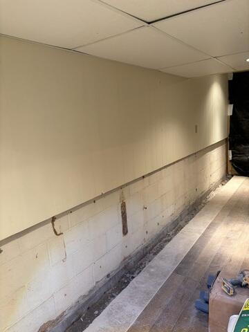 Dry Wall Removal