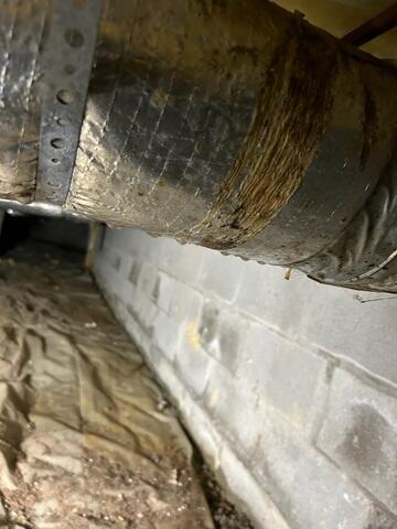 More Moisture Damage