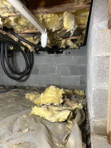Crawl Space During Inspection