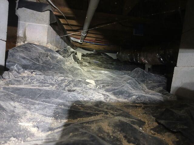Crawl Space During Inspection