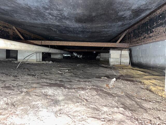 Before Encapsulation