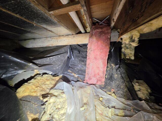 Gross Crawl Space