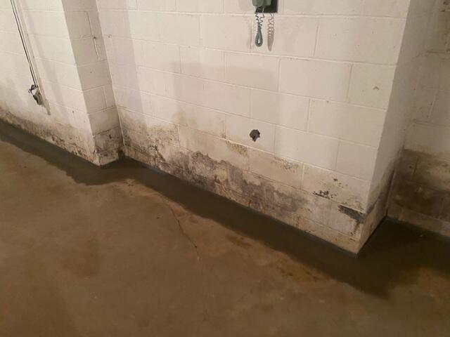 WaterGuard Drainage System