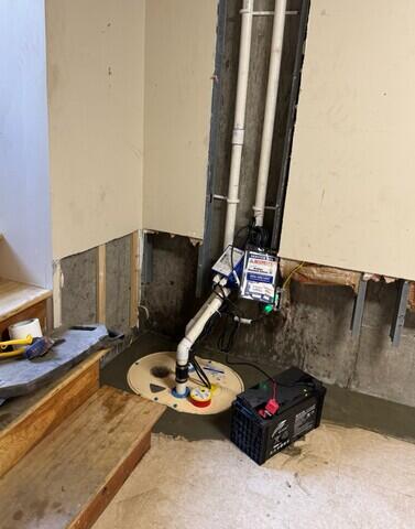 TripleSafe Sump Pump
