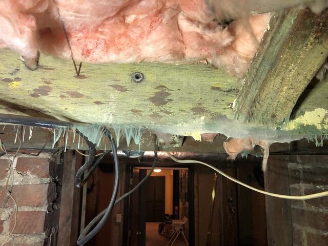 Mold Growth Throughout The Basement