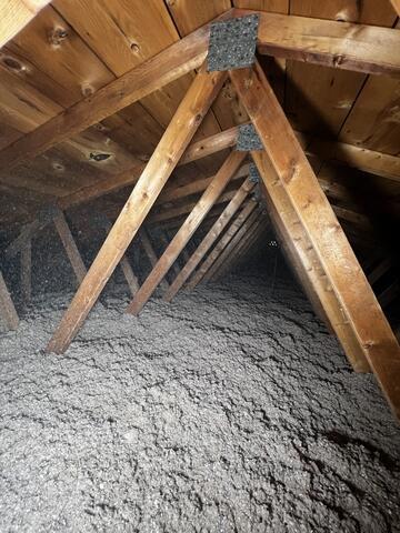 Brand New Cellulose