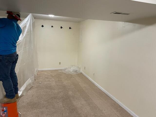 Protection for the Basement