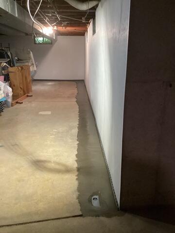 BrightWall Panels Added to Basement