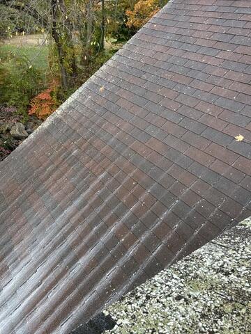 Roof Cleaning