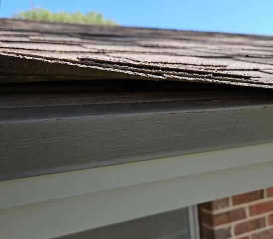 Damage Shingles