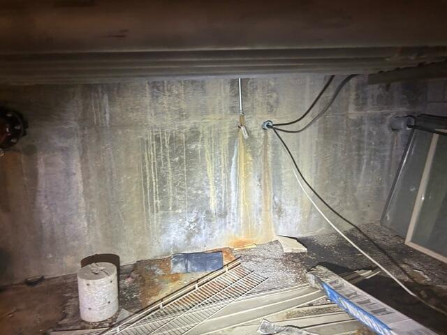 Efflorescence on the Walls