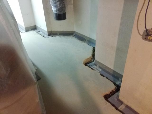 Annandale Basement Drain Installation