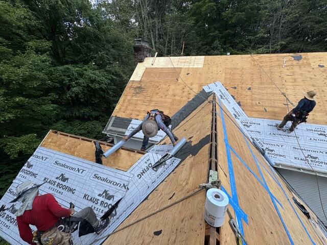 New Plywood and Underlayment