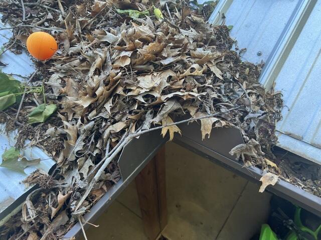 Another clogged section of gutters