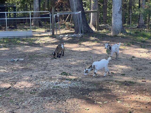 Some spectators watching the gutter installation
