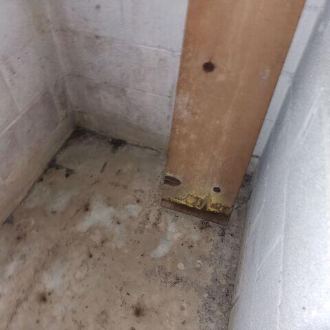 Basement During Inspection