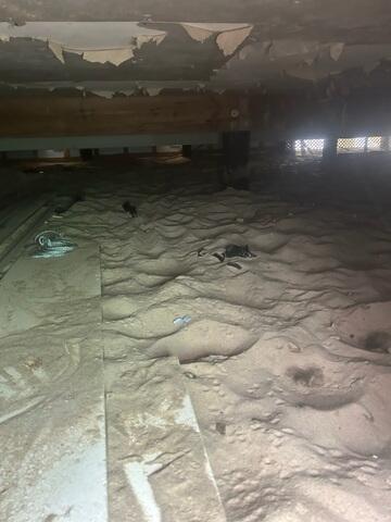 Damp Crawl Space