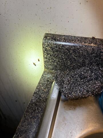 Can No Longer Reproduce