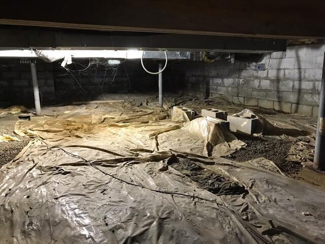 Wet Crawl Space in Georgetown, KY