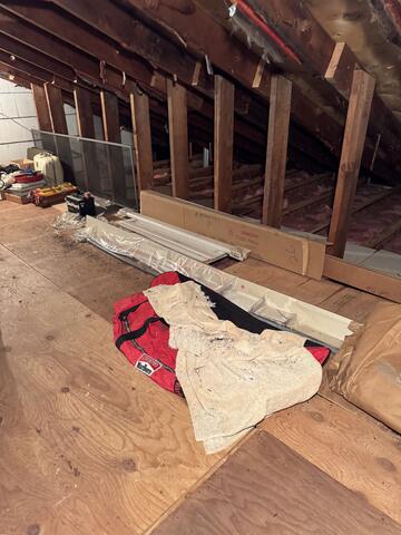 Evidence of Mice in the Attic