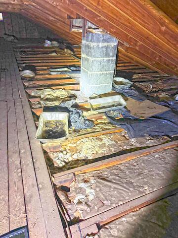 Come Back Again & Again