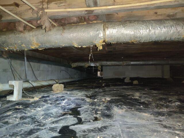 Crawl Space During Inspection