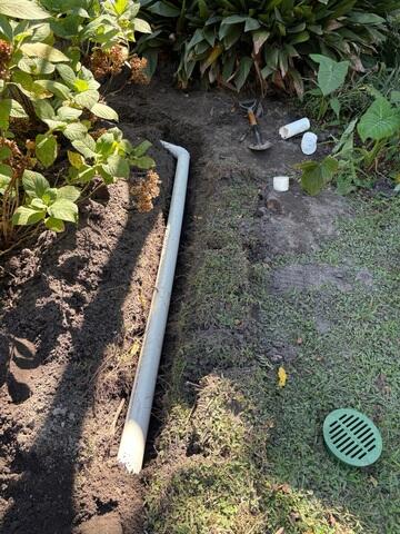 Discharge Line