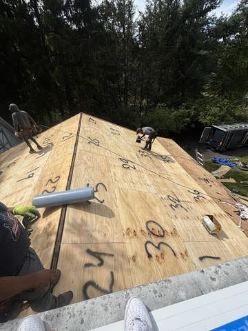 New Plywood Is Installed