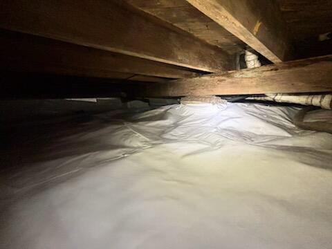 Cleaner and Brighter