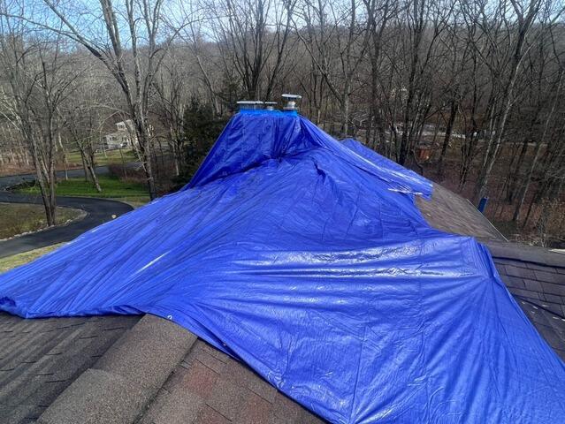 Tarped Up