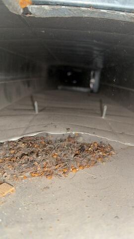 Dryer Vent Cleaning - Elkhart, IA