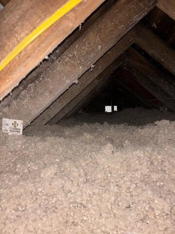 After - Fresh Cellulose Insulation: