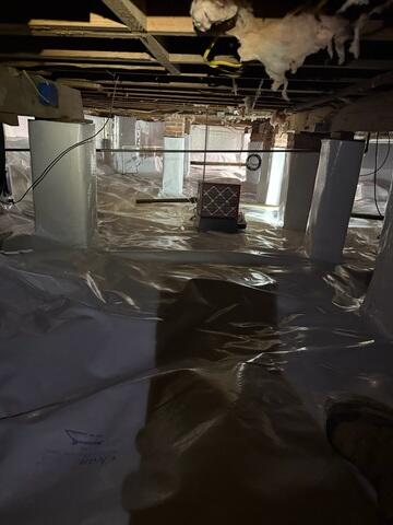 SaniDry™ Dehumidifier