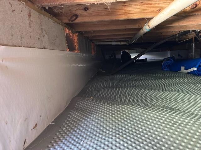 CleanSpace Wall System