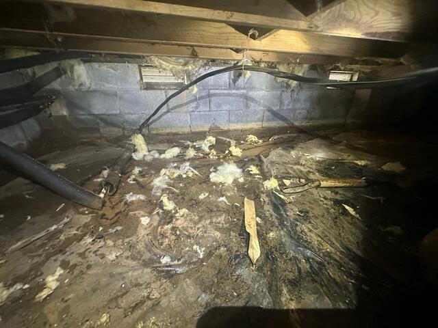 Crawl Space During Inspection
