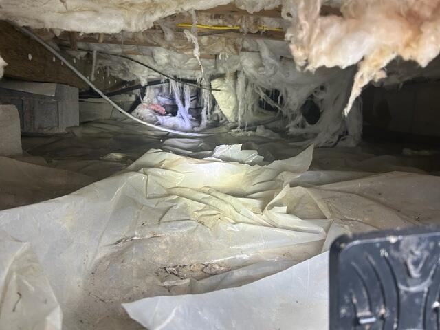 Crawl Space