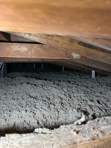 Filled Up with Cellulose