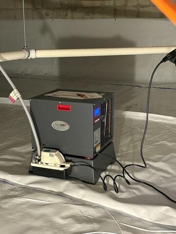 Crawl Space Dehumidifier
