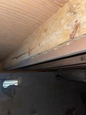 Moldy Joists