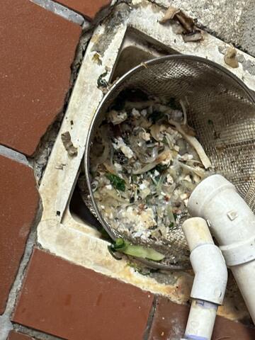 Not the Best Sanitation